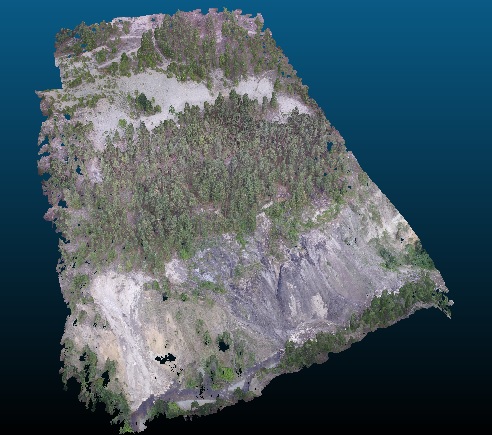 point cloud (colored).jpg